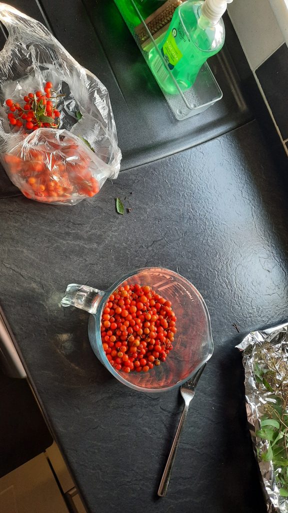 4. mountain ash berries