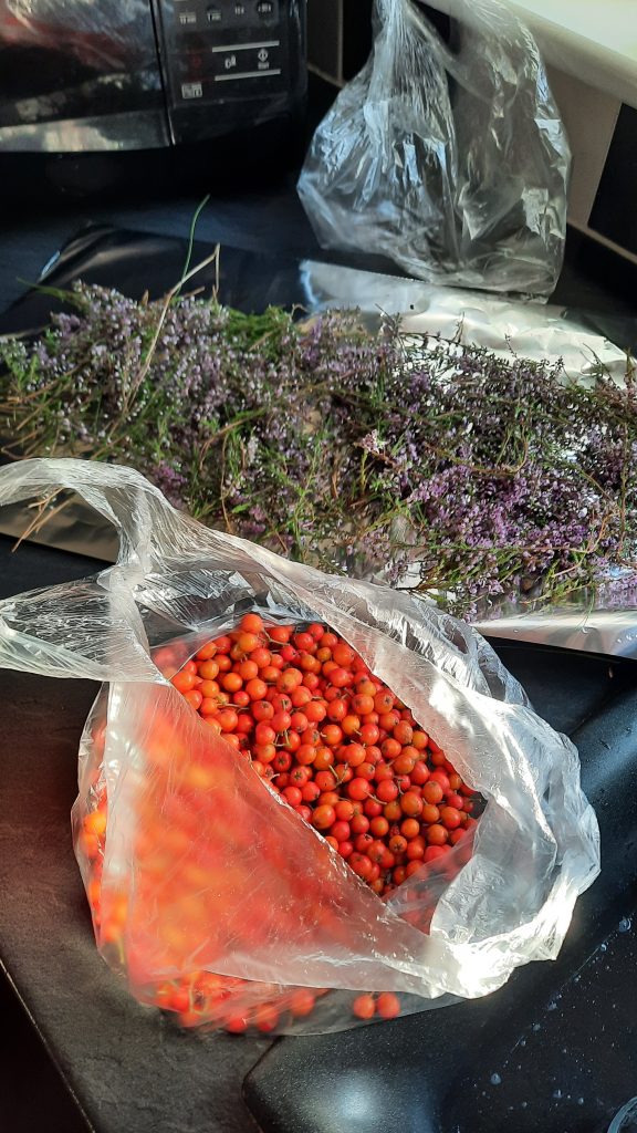 5. Heather and berries